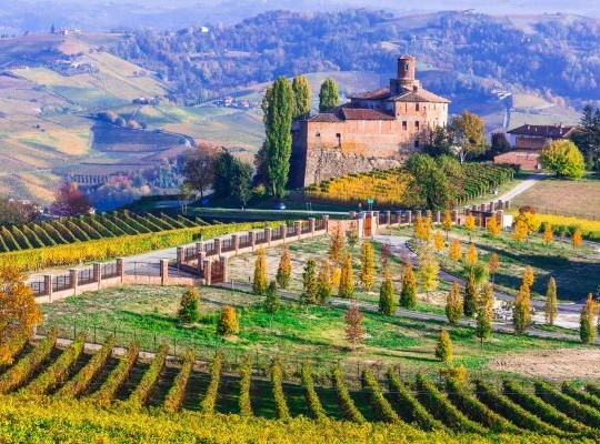Italian Wine Explorer - Piedmont and North West Italy