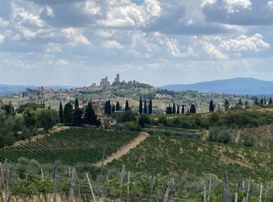 Italian Wine Explorer - Tuscany and Central Italy