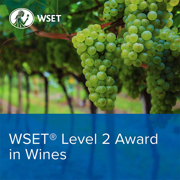WSET Award In Wines Level 2 Inc Exam Autumn 2024 