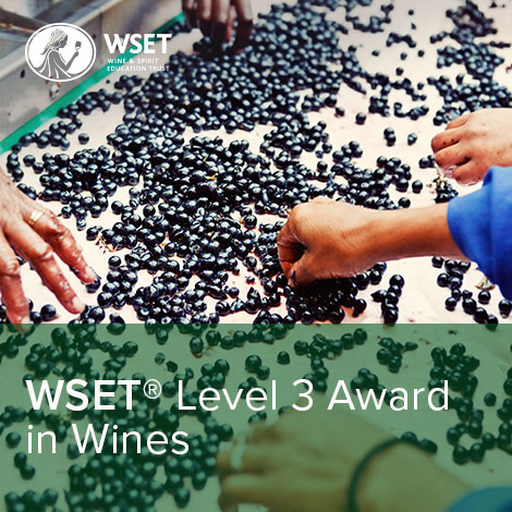  WSET Course Level 3: Intensive 1 week course