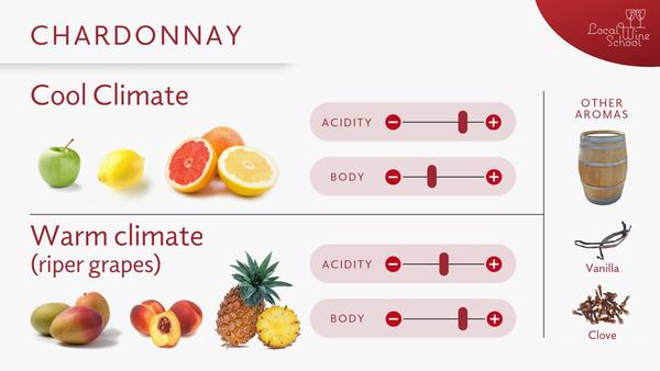 What is Chardonnay like?