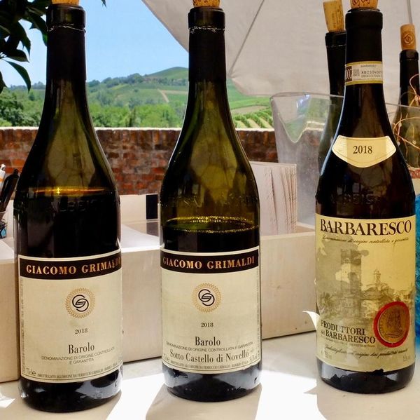 Barolo and Barbaresco Wines