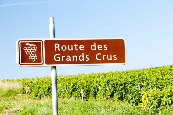 Wine trail in Burgundy