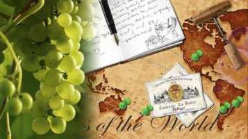 White Wines of the World