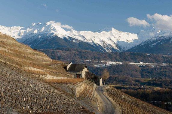 Wines of Savoie and Jura