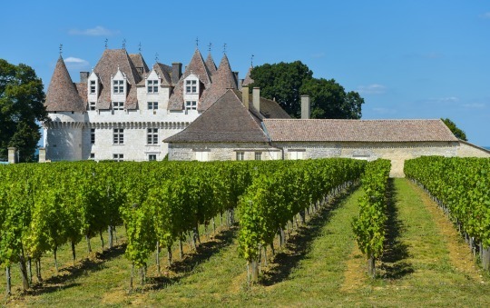  3 week World of Wine: The Old World
