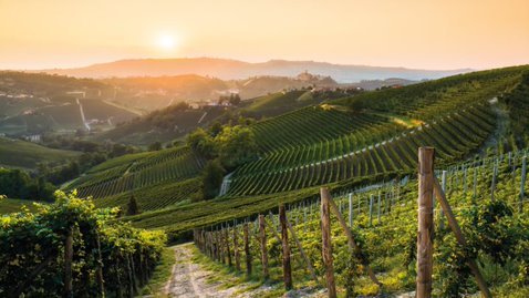 World of Wine Course Deposit