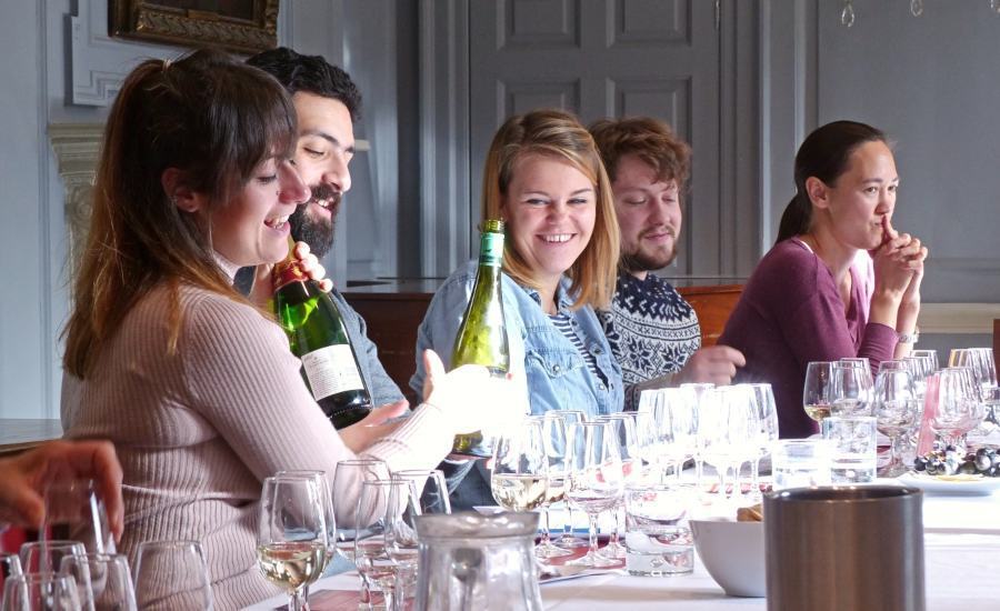 Discover the World of Wine