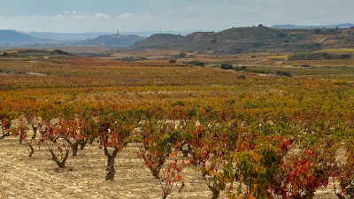 Fine Wines of Rioja