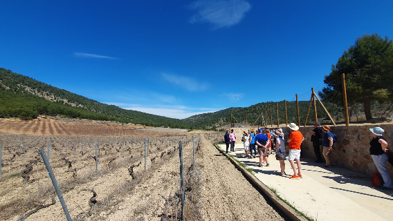 Wine tour to Murcia