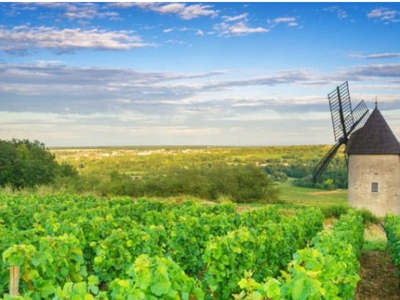 World of Wine - Burgundy & Loire