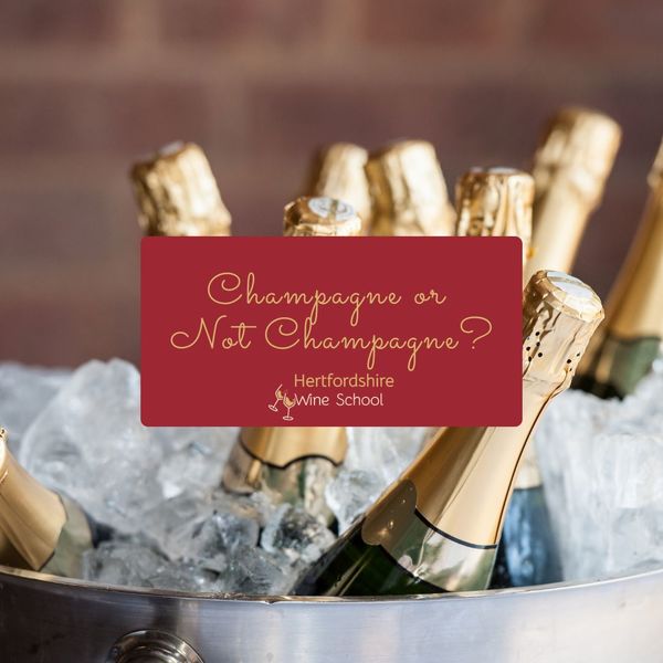 Champagne or not Champagne? - St Albans