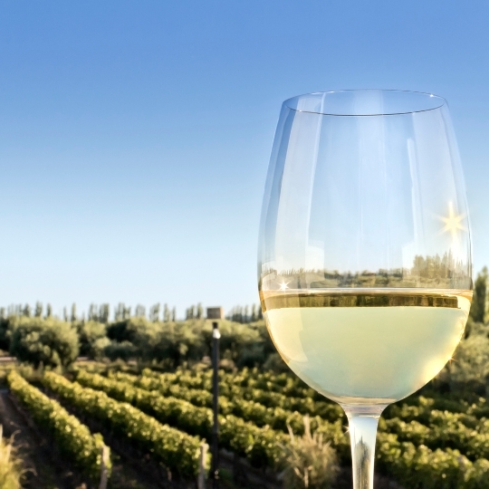 Introduction to Wine - Weird and Wonderful White Wines