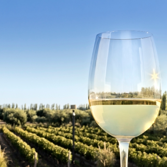Introduction to Wine - Weird and Wonderful White Wines  