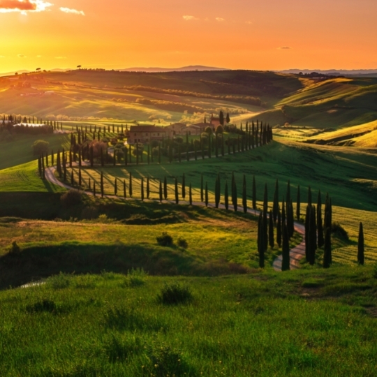 Introduction to Italy - Central: Toscana, Sangiovese & Chianti