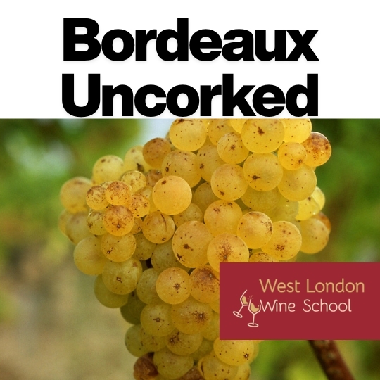 Bordeaux Uncorked Part IV: Bordeaux After Dark – Bubbles, Botrytis & Liquid Gold