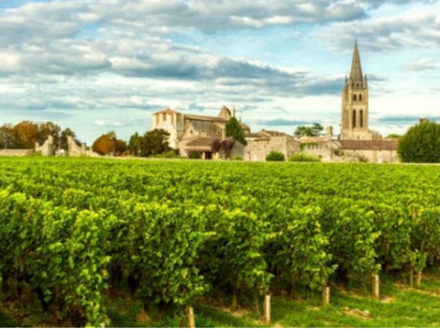 Wonderful World of Wine - Bordeaux & Rhone