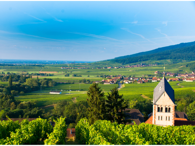 Wonderful World of Wine - Alsace, Germany & Austria