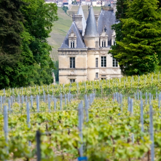 Tour de France: Discover Burgundy & Champagne