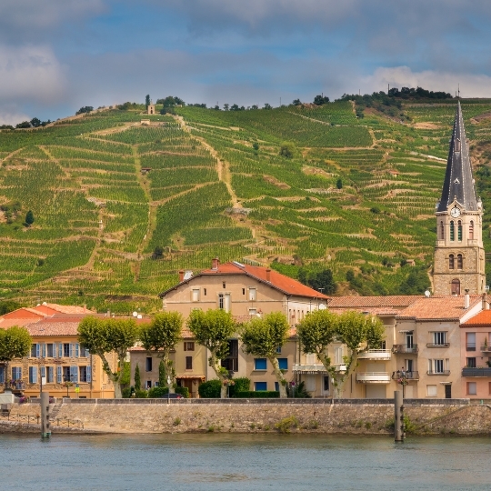 Tour de France: Discover Rhône & South France