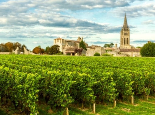 Wonderful World of Wine - Bordeaux & Rhone