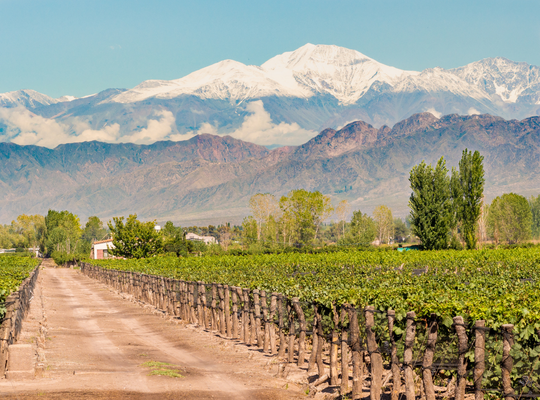 Wonderful World of Wine - Chile & Argentina 