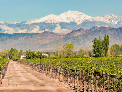 World of Wine - Chile & Argentina 