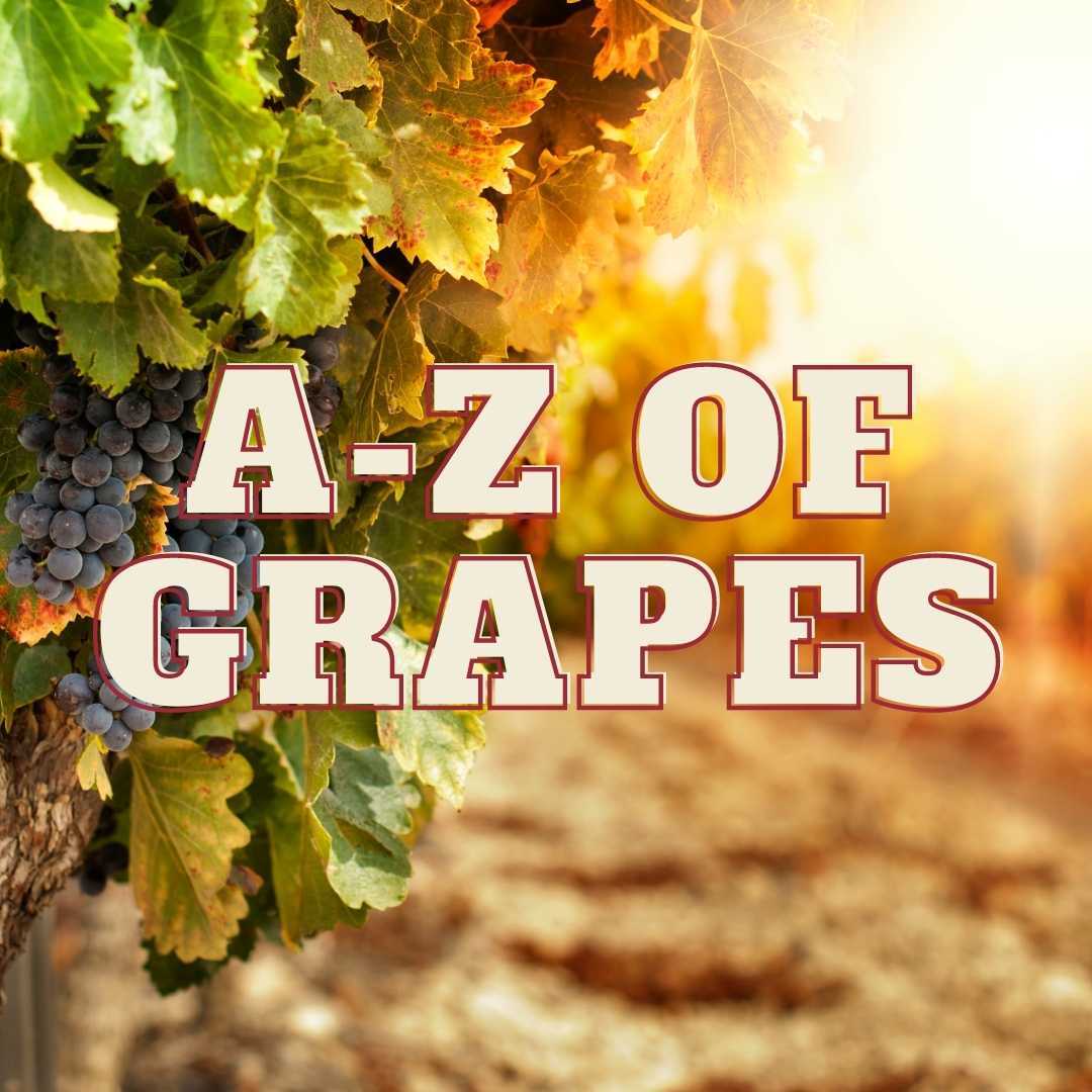 4 Week A-Z of Grapes Course        