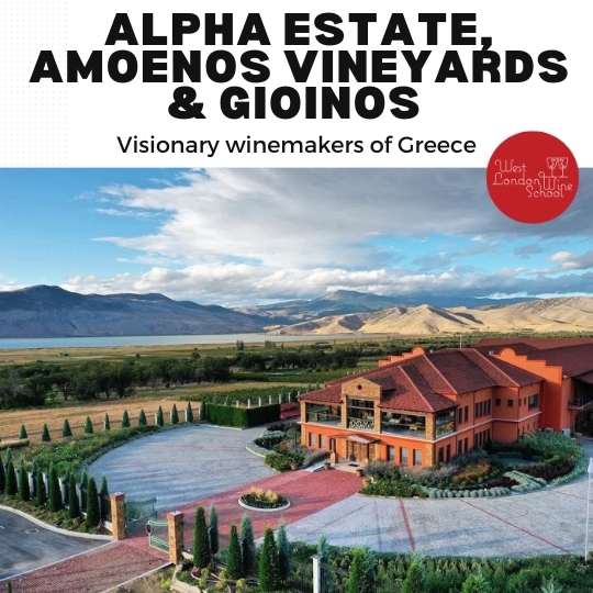 Alpha Estate, Amoenos Vineyards & GiOinos with Themistoklis Adamidis