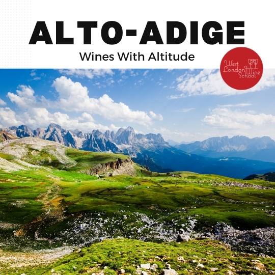 Wines with Altitude: Alto-Adige