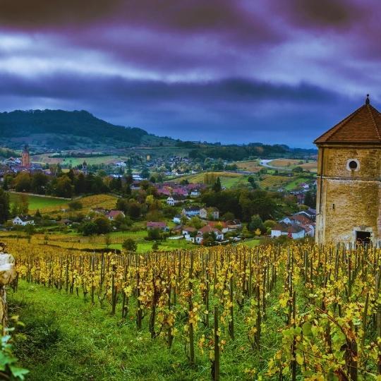 Exploring The Wines Of Jura