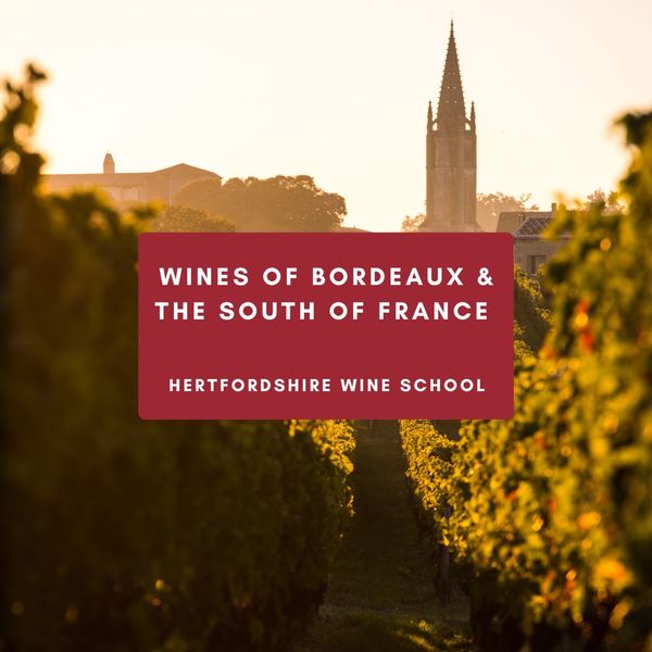 Wines of Bordeaux and the South of France