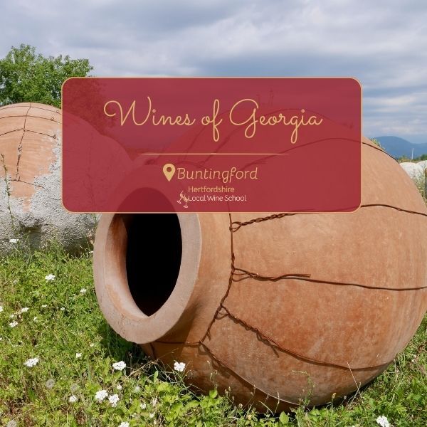 Wines of Georgia (Buntingford)