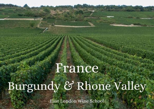 Wines of Burgundy and the Rhone Valley