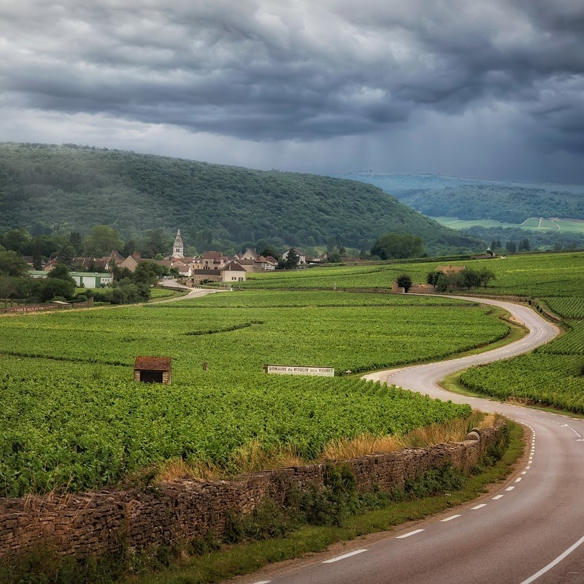 Classic White Burgundy Tasting and Dinner
