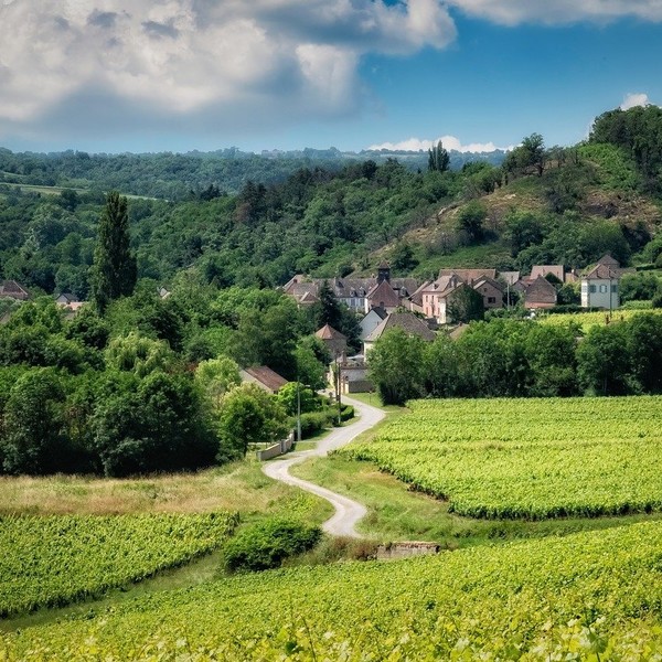 Burgundy Masterclass with Simon Woods