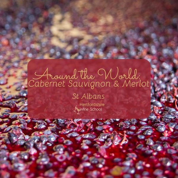 Around the World: Cabernet Sauvignon & Merlot - St Albans