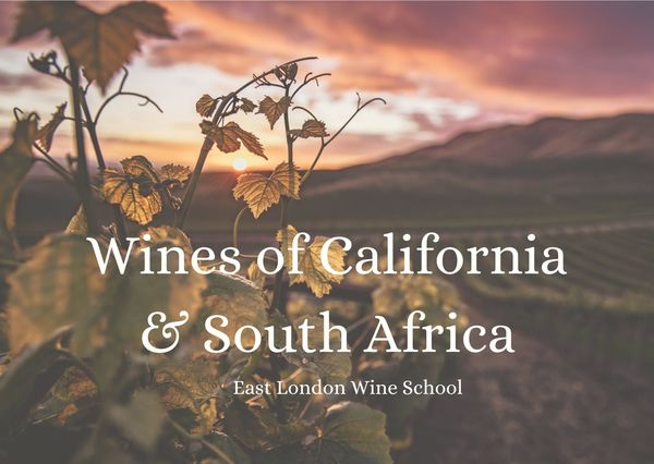 Wines of California and South Africa (Autumn)