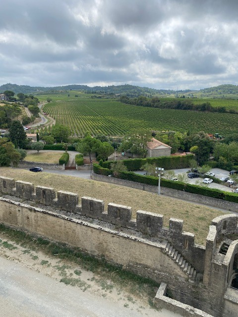 Languedoc Wine Tour Enquiry