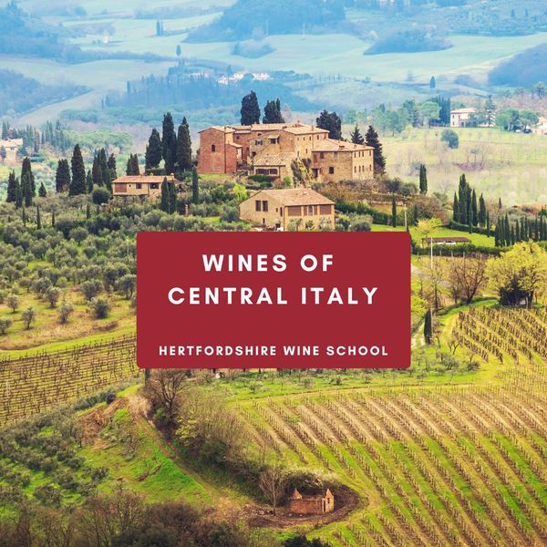 Wines of Central Italy