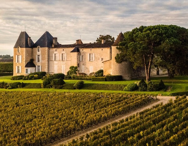 Chateau d'Yquem  - the finest Sauternes