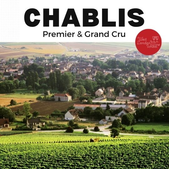 Fine Wine: Chablis Premier & Grand Cru