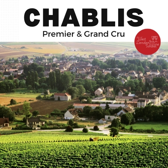 Fine Wine: Chablis Premier & Grand Cru