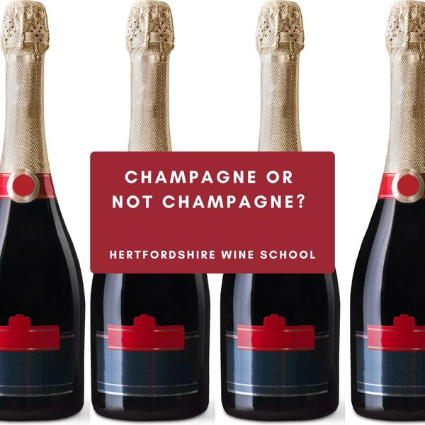Champagne or not Champagne?