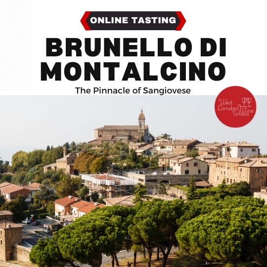 ONLINE TASTING: The Pinnacle of Sangiovese: Brunello di Montalcino with Carlotta Salvini