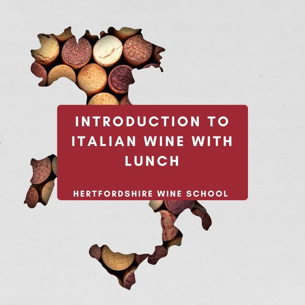 Saturday Introduction to Italian Wine with Lunch