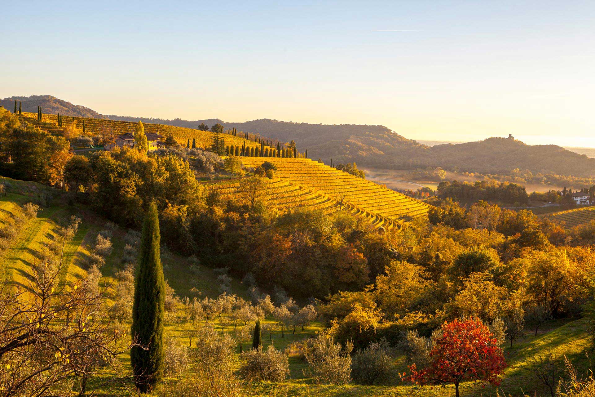 Introduction to Italy: North-East & East Italy