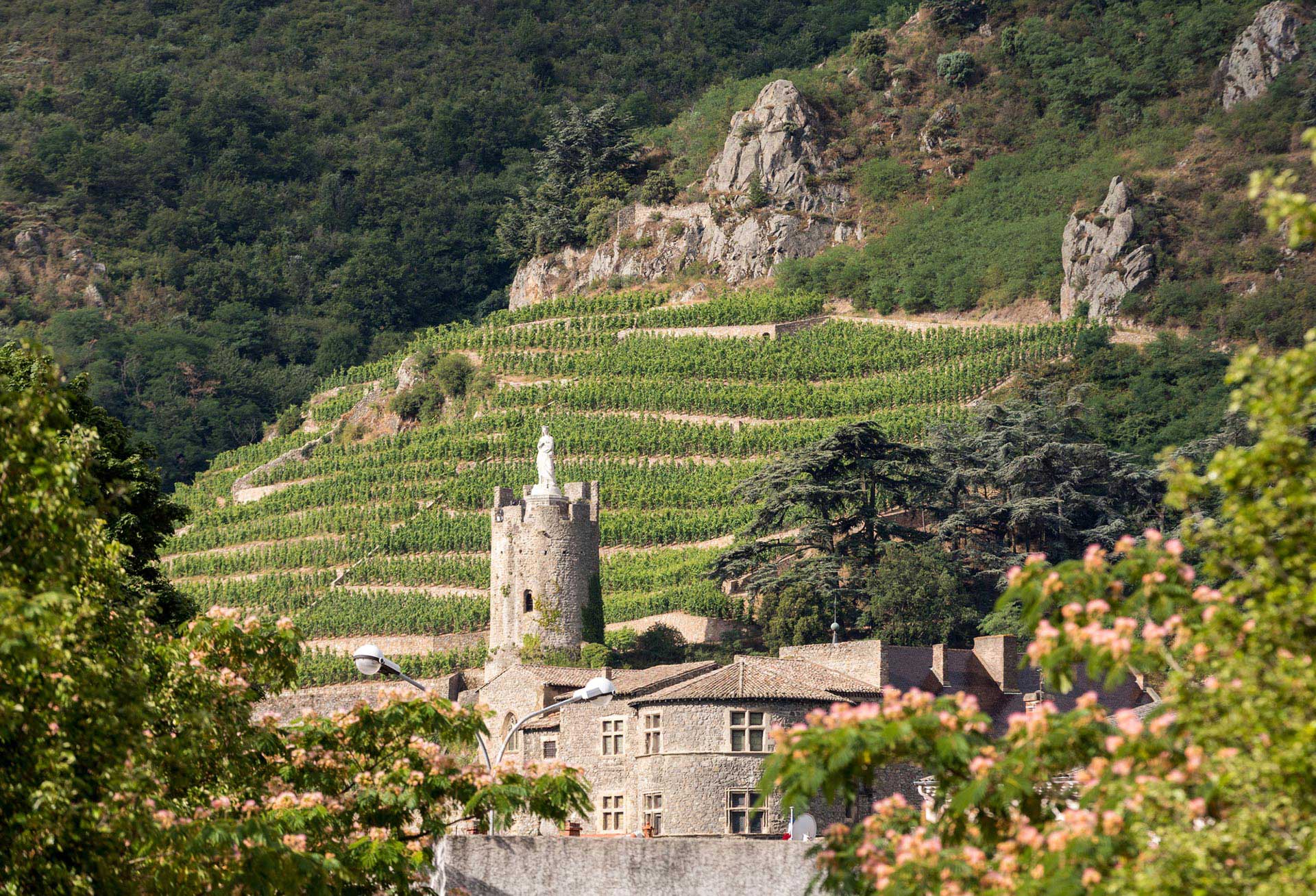 Wines of the Rhône Valley with Linda Field