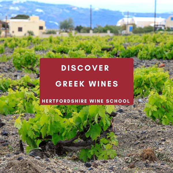 Discover Greek Wines
