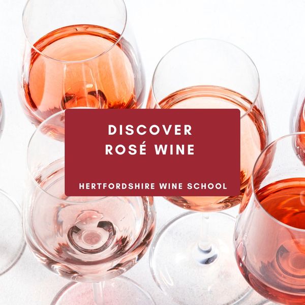 Discover Rosé Wine